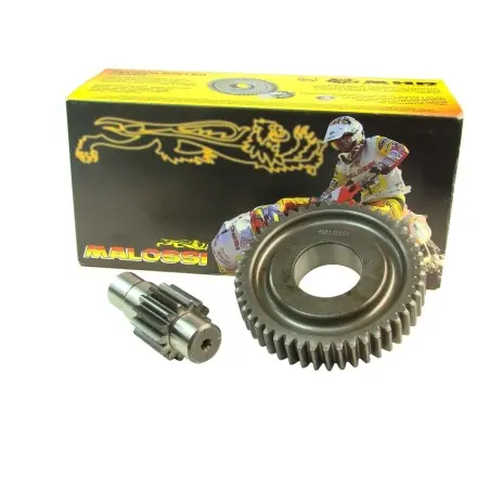Preisknaller Getriebe Malossi primär 14/45 - Honda 125-150 ccm - Dylan - Pantheon - SH - PS - S-Wing