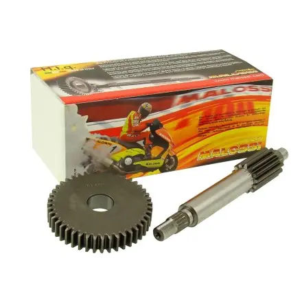Getriebe Malossi primär 13/44 - Minarelli - Aerox - Nitro - Ovetto - Neos - Mach G - Jog - SR 50 - F12 - F15 Sichere Zahlung