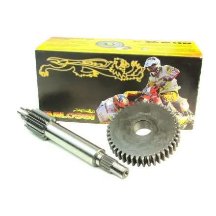 Getriebe Malossi primär 16/32 - Honda Lead - Peugeot Metropolis Expressversand