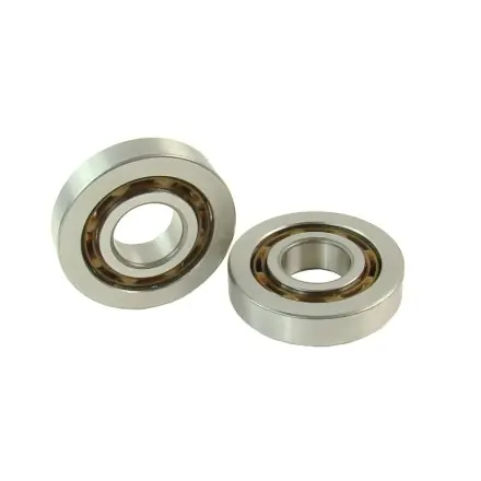 Kurbelwellen Hochleistungs-Lagersatz Malossi bearbeitet - Piaggio NRG - Runner - TPH - Stalker - Zip - Peugeot Speedfight 1+2 - Buxy - Vivacity Expressversand