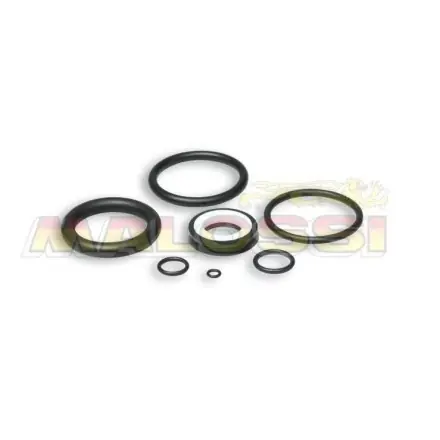 Dichtungssatz Malossi Stoßdämpfer RS24/10 Schneller Versand
