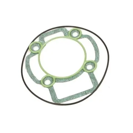 Dichtsatz Malossi ZylinderPiaggio LC 50 und 70 ccm - 317353 - 318466 - 318455 - 318523 Super-Preis