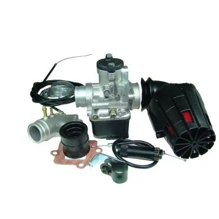 Kostenloser Versand Vergaserkit Malossi - Dellorto Racing PHBL 25 mm - Piaggio - Runner - NRG - TPH - Storm - Stalker - SR50