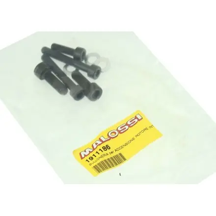 Schrauben Satz Malossi Innenrotor Aktuell