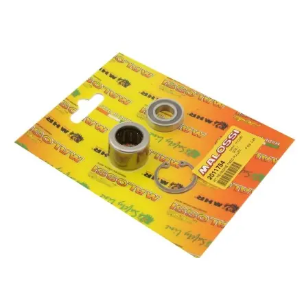 Reparaturkit für Malossi Overrange-Wandler - Minarelli - Piaggio Schnäppchen