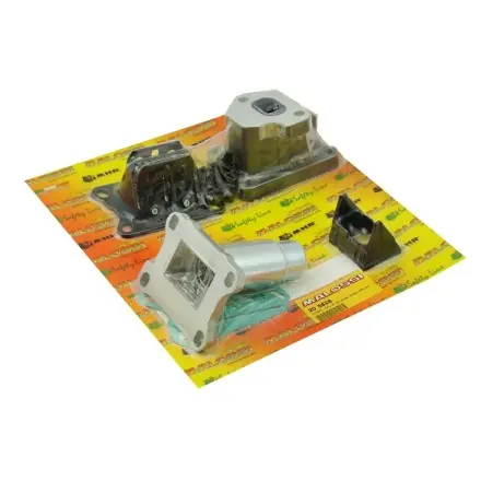 Expressversand Membranansaugerkit Malossi für Vespa Zylinder 315260 - PK 125 - PK XL125
