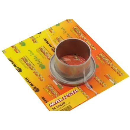 Must-Have Federführung Malossi Torque Drive