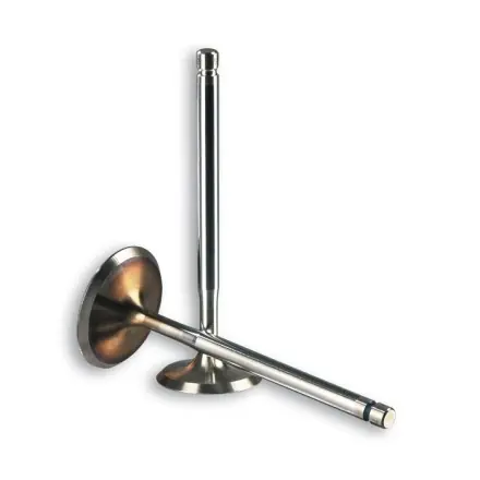 Ventil Satz Malossi Racing- Yamaha 250 ccm - Leonardo - X-Max - X-City - Kilibre - Majesty - Versity - Skyliner Kracherpreis