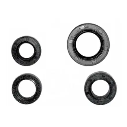 Motorsimmerringsatz 4-teilig - Peugeot JetForce Ludix Speedfight 3/4 Sofort Bestellen