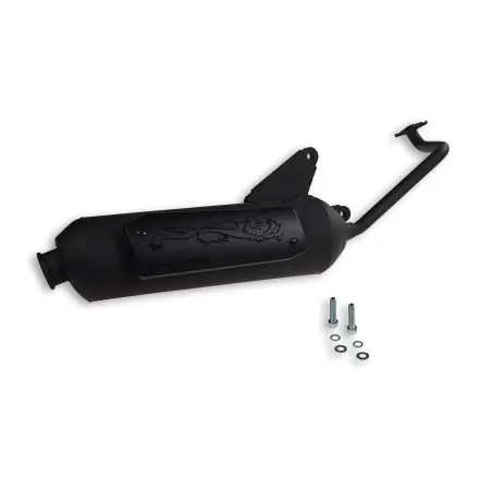 Top-Preis Auspuff Malossi Wild Lion (E-Pass) - Honda Vision 50 - NSC50R 4-Takt