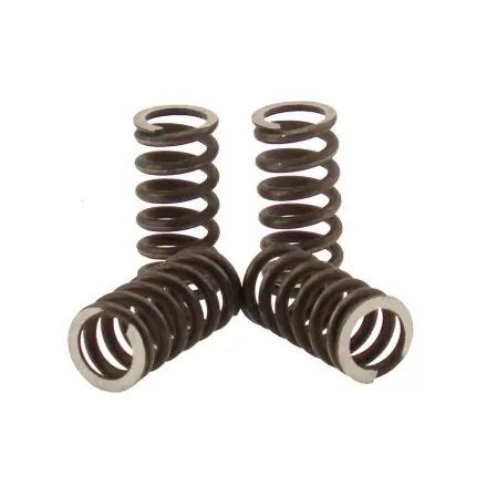 Kupplungsfedern Malossi verstärkt - AM6 Motor - Aprilia RS 50 - CPI SM - SX- SMX - Generic Trigger - Rieju SMX - Peugeot XP - XR Billig