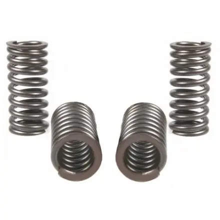 Jetzt Kaufen Ventilfedern Malossi Racing (4 Stück) - Piaggio 125-200 ccm - Atlantic - Scarabeo - Sportcity - Runner VX - Nexus - Beverly - MP3 - Hexagon - X7