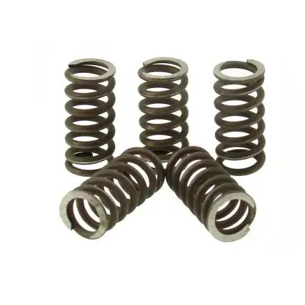 Abverkauf Kupplungsfedern Malossi Verstärkt