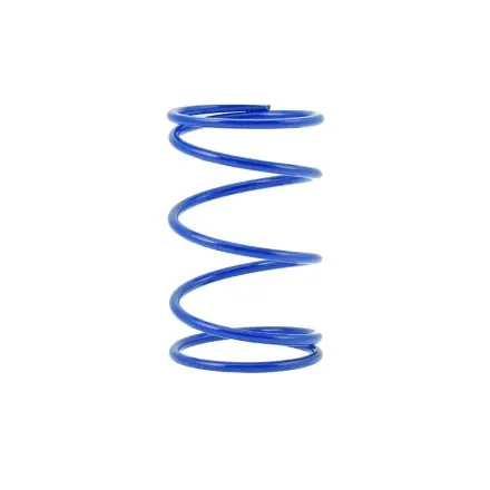 Wandler Gegendruckfeder Malossi Race (+ 80%) Sfera - ZIP Highlight