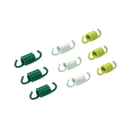 Kupplungsfedern Malossi MHR Sport für Delta/fly-clutch Neuheit