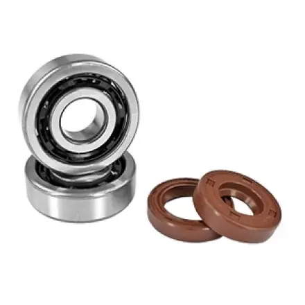 Bestpreis Kurbelwellenlager - und Simmerringsatz Viton - AM6 Motor - Aprilia RS 50 - CPI SM - SX- SMX - Generic Trigger - Rieju SMX - Peugeot XP - XR