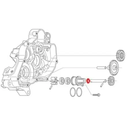Kracherpreis Simmerring Kurbelwelle links Scarabeo - Leonardo Rotax Motor 125 - 150 - 200 ccm