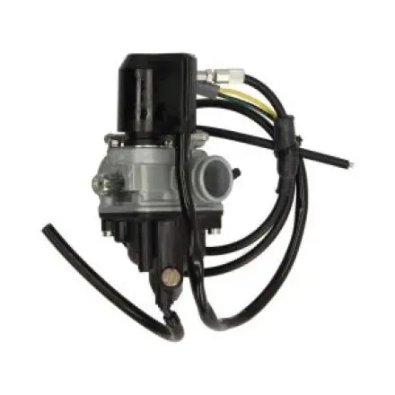 Zertifiziert Vergaser Dellorto PHVA 12 Qd (mit E-Choke)