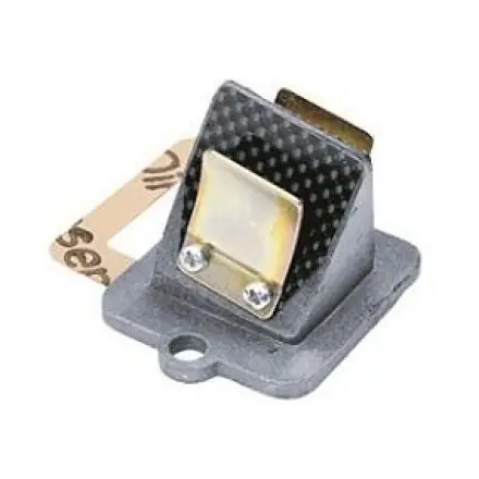 Membranblock Doppler Carbon Racing - Piaggio - Gilera - Runner - NRG - TPH - Stalker - Storm - Aprilia SR Letzte Chance