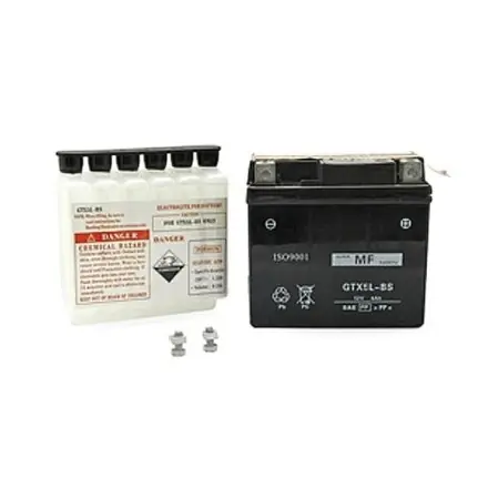 Sonderaktion Luftfilter Einsatz Standard Agility 10 Zoll