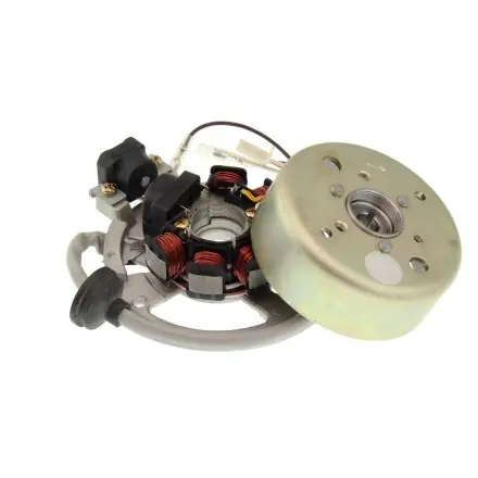 Nur Heute Lichtmaschine mit PolradBj. 2002 - Minarelli Motor - Aerox - Nitro - Ovetto - Neos - Jog