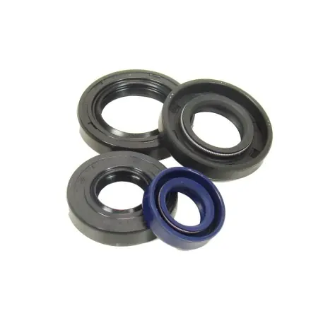 Motorsimmerringsatz PGO Motor - Big Max - Galaxy Gratis Versand