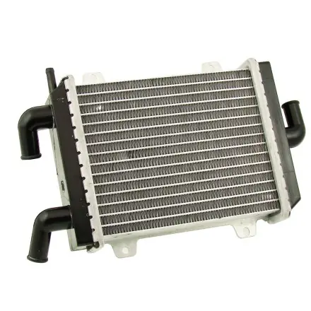 Wasser Kühler Aluminium - Peugeot Speedfight 1+2 Finale Aktion