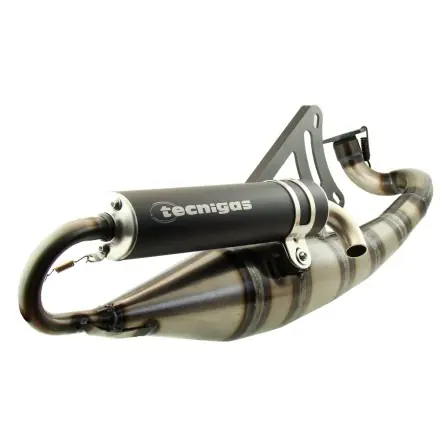 Auspuff Tecnigas Triops Racing (E-Pass) Peugeot stehend Speedfight 1 2 Kostenloser Rückversand