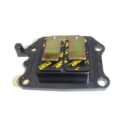 Membranblock Topperformances mit Carbonmembranen - Minarelli stehend - Booster Sofort Bestellen