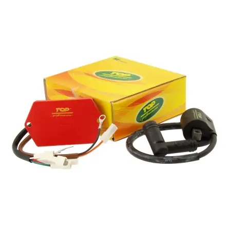 Markenprodukt CDI Topperf. AM6 variabler Zündzeitpunkt ohne Begrenzer - bis Bj 2005