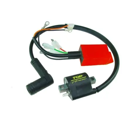 Sofort Bestellen CDI Top Performances variabel ohne Begrenzer - Piaggio - Runner - NRG - ZIP - TPH - Storm - Stalker - SR 50 - Sportcity