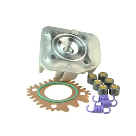 Beliebt Zylinderkopf Top Performances Power Up Kit - CPI - Generic - Keeway - Rivero - Explorer - Sachs