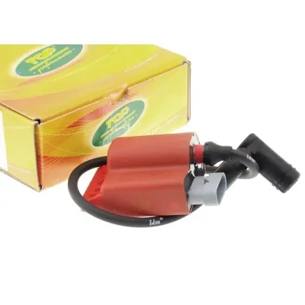 CDI Top Performances ohne Begrenzer Euro 2 Norm - Malaguti F10 - F12 - F15 Zertifiziert