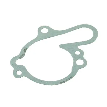 Kracherpreis Wasserpumpendeckel Dichtung AM6