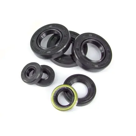 Simmerring Satz TNT Standard - Derbi D50B Piaggio - Aprilia RS 50 - RX - SX - Derbi Senda ab 06 - Gilera RCR Direkt Vom Hersteller