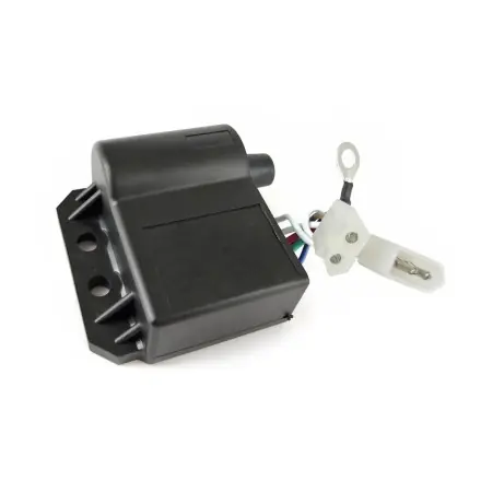 Sichere Zahlung CDI mit Zündspule (Leonelli Zündung) - AM6 Motor - Aprilia RS 50 ab 06 - Derbi Senda - RiejuRS - SMX - RR - MRX - Yamaha DT - TZR