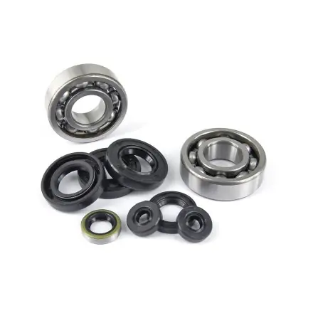 Top-Seller Kurbelwellenlagersatz mit Simmerringen - Derbi D50B Piaggio - Aprilia RS 50 - RX - SX - Derbi Senda ab 06 - Gilera RCR