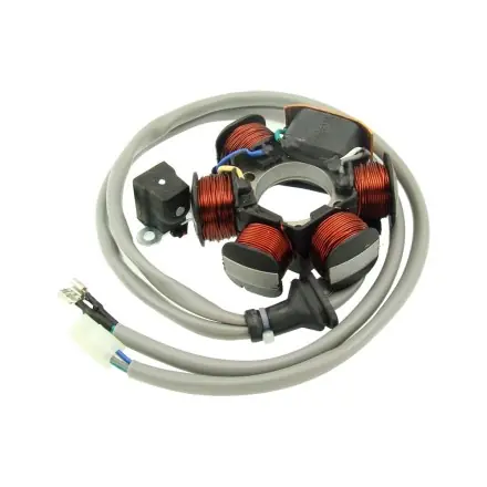 Begrenztes Angebot Zündgrundplatte - Ankerplatte TNT - Piaggio bis Bj 2001 - Runner - TPH - Storm - NRG extreme - MC3 - Power - Zip - Vespa LX