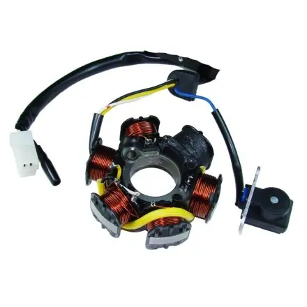 Sofort Bestellen Zündgrundplatte - Ankerplatte TNT - Peugeot Speedfight 1+2 - Buxy - Trekker - Vivacity - Elyseo - Looxor