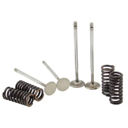 Preiswert Ventile und Federn (4 Stück) - Piaggio Motor - Atlantic - Sportcity - Nexus - Runner VX - Beverly - MP3 - Hexagon - Vespa GTS - X8- X9