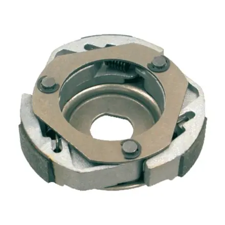 Garantierte Lieferung Kupplung - Rotor Clutch - RMS 125 - 200 ccm - Honda PCX - Pantheon - SH - Kymco Agility - People - Super 8 - Sym Joyride