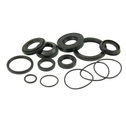 Simmerringsatz - Kurbelwellen - Getriebe 13-Teile Minarelli stehend - Booster - BWs - Amico - Aprilia SR - Italyet Scoop - Yankee Markenware