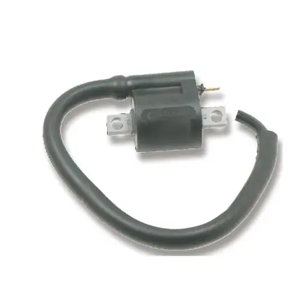 Zertifiziert Zündspule mit Kabel - Minarelli-Motor - Aerox - Nitro - Booster - Ovetto - Neos - Jog - Mach G - Axis - Breeze - Zest - Trigger