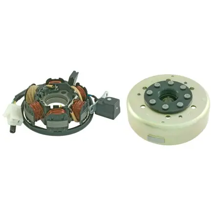 Garantierte Lieferung Lichtmaschine - Ankerplatte und Polrad - Peugeot Ludix - Jetforce - Speedfight 3