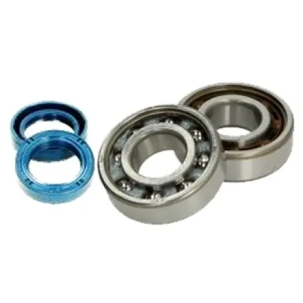 Kurbelwellenlager und Simmerring Satz - Peugeot Jetforce - Ludix - Speedfight 3 + 4 - New Vivacity - 2-Takt 50 ccm Neue Kollektion