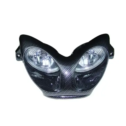 Letzte Chance Doppelscheinwerfer Frontmaske Carbon 2x55 Watt (ABE) - Aerox - Nitro