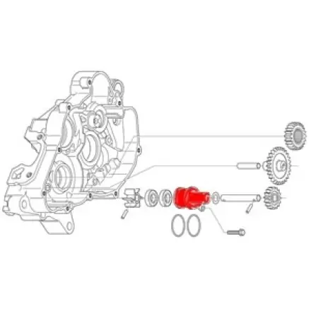 Wasserpumpenkörper Aprilia Rs - Rx - Sx 125 ccm Kostenloser Versand