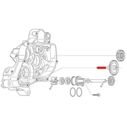 Mega-Angebot Welle für Freilaufzahnrad