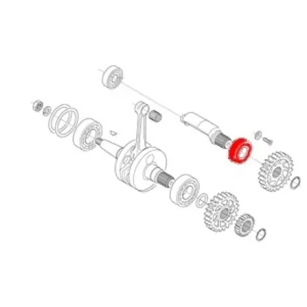 Lager 6005 für Gegenwelle Aprilia Rs 125 ccm Kostenfreie Lieferung