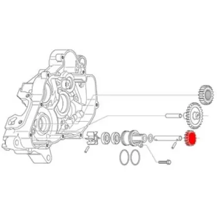 Kostenloser Versand Wasserpumpenritzel Z=16 - Aprilia RS 125 - RX - SX